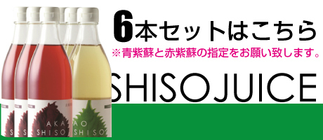 紫蘇ジュース超お得な6本セット